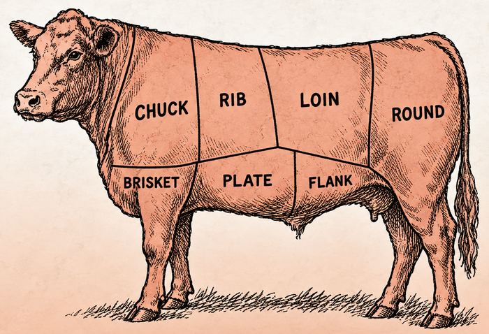 Butcher chart of a steer with every section shaded: a whole share is the whole animal
